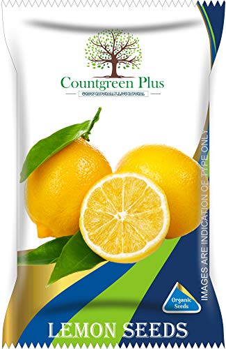 Countgreen Plus Organic Lemon Seeds | (25 Seeds, 1 Packet) Non Hybrid Nimbu Beej For Pots Farming & Gardening Seeds