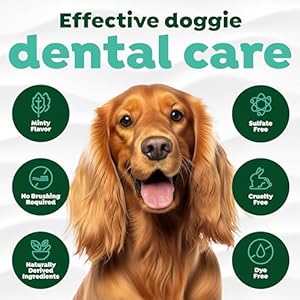 TropiClean Fresh Breath Foam for Dogs & Cats | Cat & Dog Dental Foam| Dog Breath Freshener Foam| Oral Care for Dogs & Cats | Made in The USA | 4.5 oz