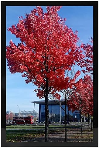 Medog 9x12 Picture Frame Set of 1 Black 9x12 Inch Picture Frames Display Pictures 9x12 Without Mat Wall Mounting Document Certificate Frames Picture Frame 9x12 (P1P BA)