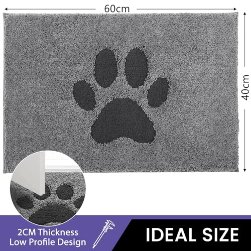 Oiilores Schmutzfangmatte für Innenbereich 40 x 60 cm, rutschfeste waschbare Matte, niedriges Profil Innentürmatten für Eingangsbereich, super saugfähige Hundematten für schmutzige Pfoten, Grau