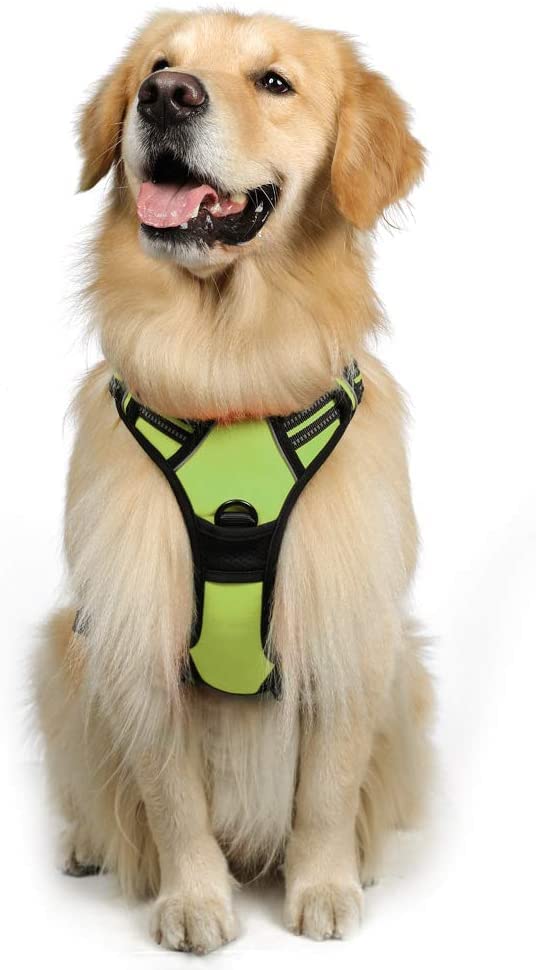 24x7 eMall Green No Pull Dog Harness Mesh Breathable Adjustable Reflective Oxford Easy Control Comfortable Harness. Large 18-26 Inch Girth (B09Y958Q9V) Amazon Price History, Amazon Price Tracker