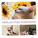FRCOLOR 6pcs Interactive Cat Colorful Chew Toys for Kittens Chewing Grinding Plaything Engaging Pet Toys to Hunting Instincts Preserve Furniture
