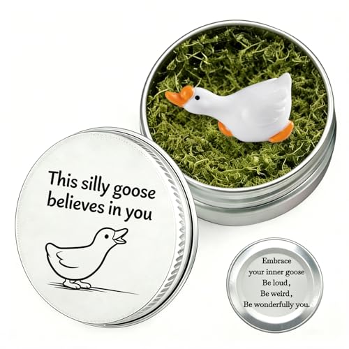 Funny Silly Goose Gift in a Tin | Aluminum Box Keepsake with Inspirational Message This Silly Goose Believes in You | Cute Desk Decor Pocket Hug Encouragement Gift for Friends Coworkers Bestie |