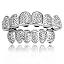 Silver 391