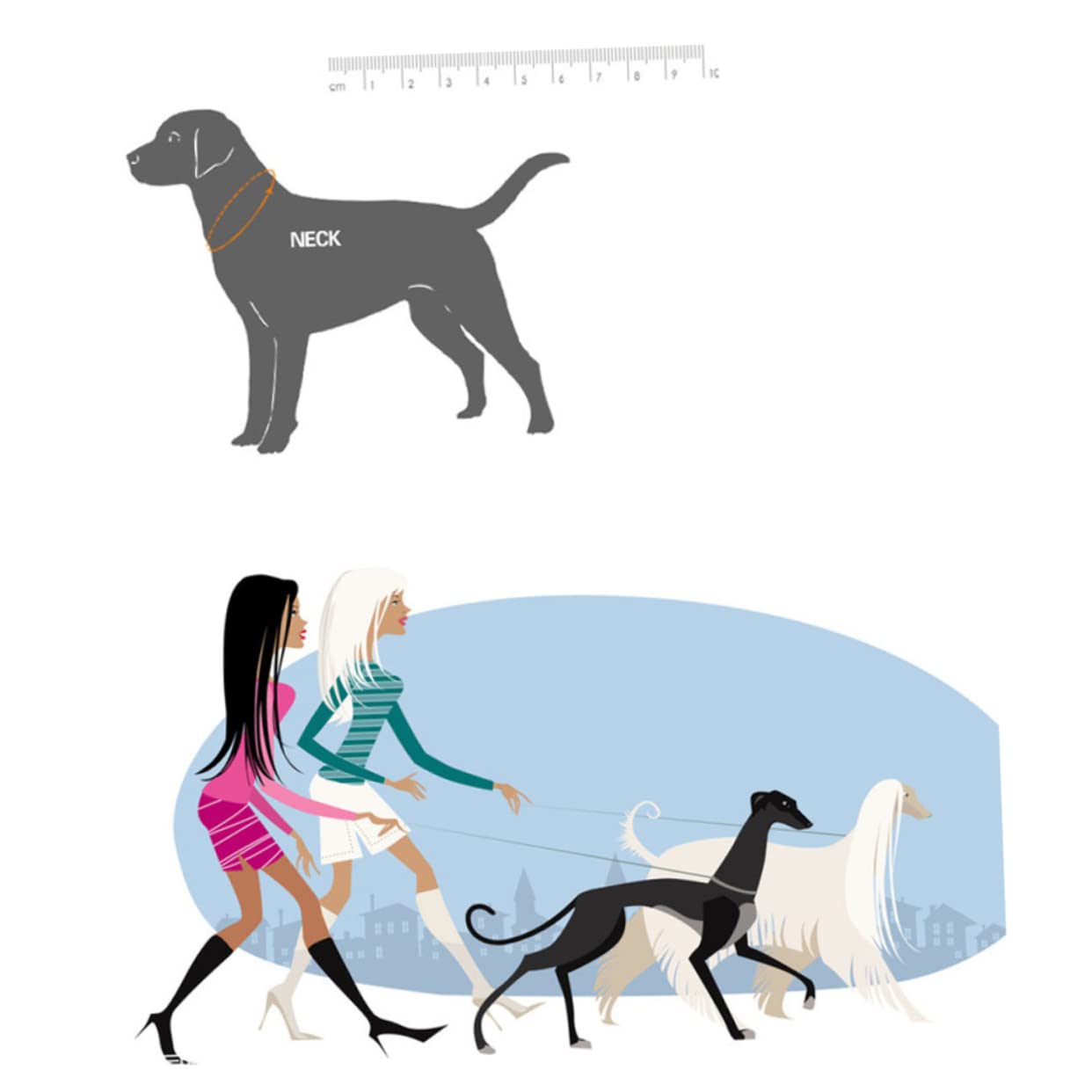 INOOMP 3stücke Fashion Widen Cattlehide Hundehalsband Haltbares Dünnes Nackengurt Mit Schnalle Für Whippet Und Hunde Mit Dünnem Hals Kaffee