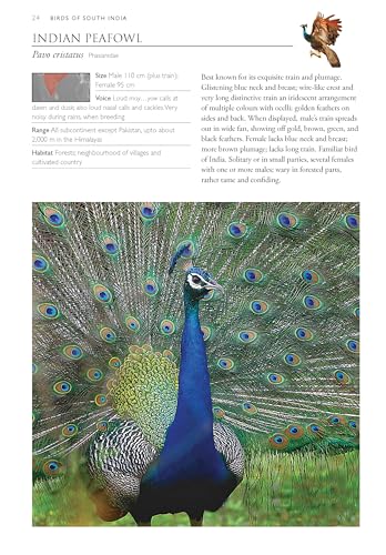 Image of Birds of South India - A Photographic Field Guide | Wildlife and Nature | Photography | Field Guide | Travel and Exploration | Adventure