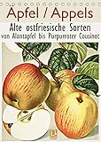 14 Seiten bestehend aus 1 Coverbild | 12 Monatsbilder | 1 Indexseite. Inklusive Papprücken hinten und vorderseitig einer Klarsichtfolie.