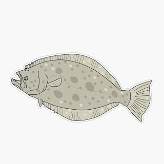 MAGNET Halibut left Magnetic Bumper Sticker 5"