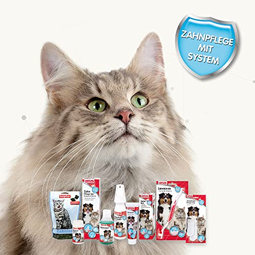 Beaphar Zahnies - Für Katzen - Fördert die Zahnhygiene - Katzensnack - 2er Pack (1 x 150 g)