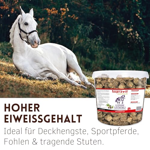 Supravit Luzerne Pferde Leckerlies 2kg – getreidefreie & zuckerfreie Pferdeleckerlis aus 100% Luzerne | natürliche Belohnungswürfel für Pferde & Ponys im wiederverschließbaren Eimer