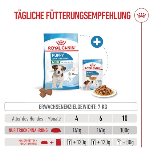 ROYAL CANIN MINI Puppy Trockennahrung für Hunde – 0.8 kg