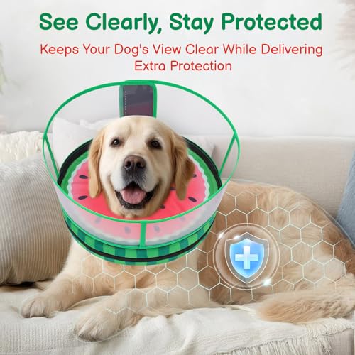 Image of Dog Cone, No-Inflation Sponge Donut Collar for Dogs After Surgery