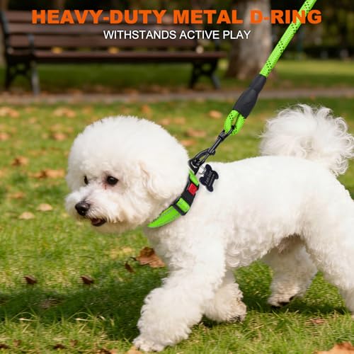 Image of Taglory Reflective Small Dog Collar, Comfortable for Safe Night Walks,Green