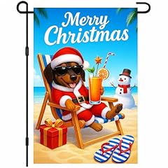 Christmas Beach Dog Red Hat