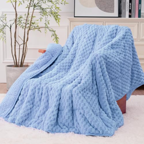 Image of Fleece Sherpa Weighted Blanket for Adults, Ultra Soft Fuzzy, 60 inchx80 inch 15lbs
