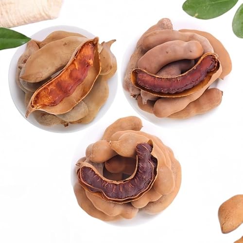 甘酸角 甘酸っぱい角 甘酸っぱい トロピカル 濃厚 後味すっきり 果実の干し ドライフルーツ カジュアルスナック ?袋即食 中国食品 スナック 外装ランダム発送A(3種類の味合計1500g)