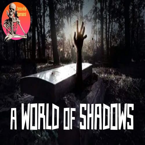 A World of Shadows | Interview with Pamela K. Kinney | Podcast
