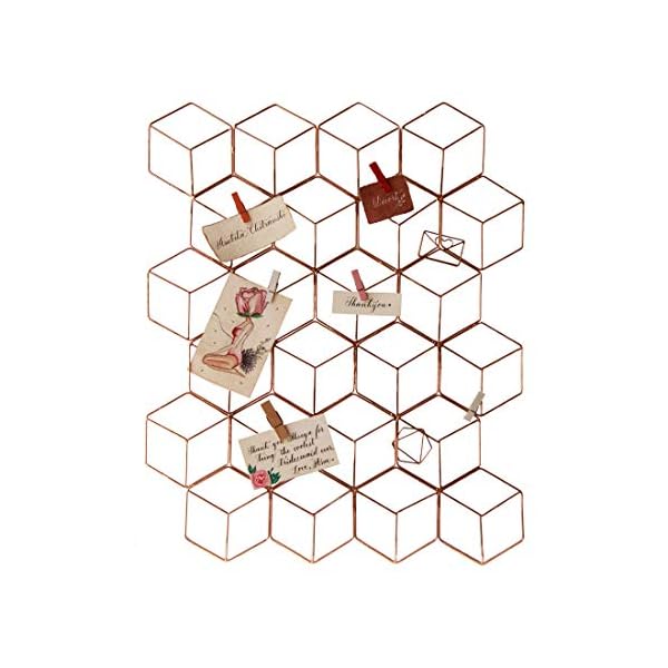 Decort-House-Hold-Decorations-Rose-Gold-Steel-Grid-Photo-Frame-for-Wall-16-in-x-20-in-8-Wooden-Clips-Included-Rose-Gold-Fancy-DIY-Wall-Hanging-and-Wall-decor-Rose-Gold-Steel-Hexagon