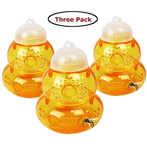 Soddyenergy 2 Lot de 3 capteurs guêpes Jaune, 2 Pack