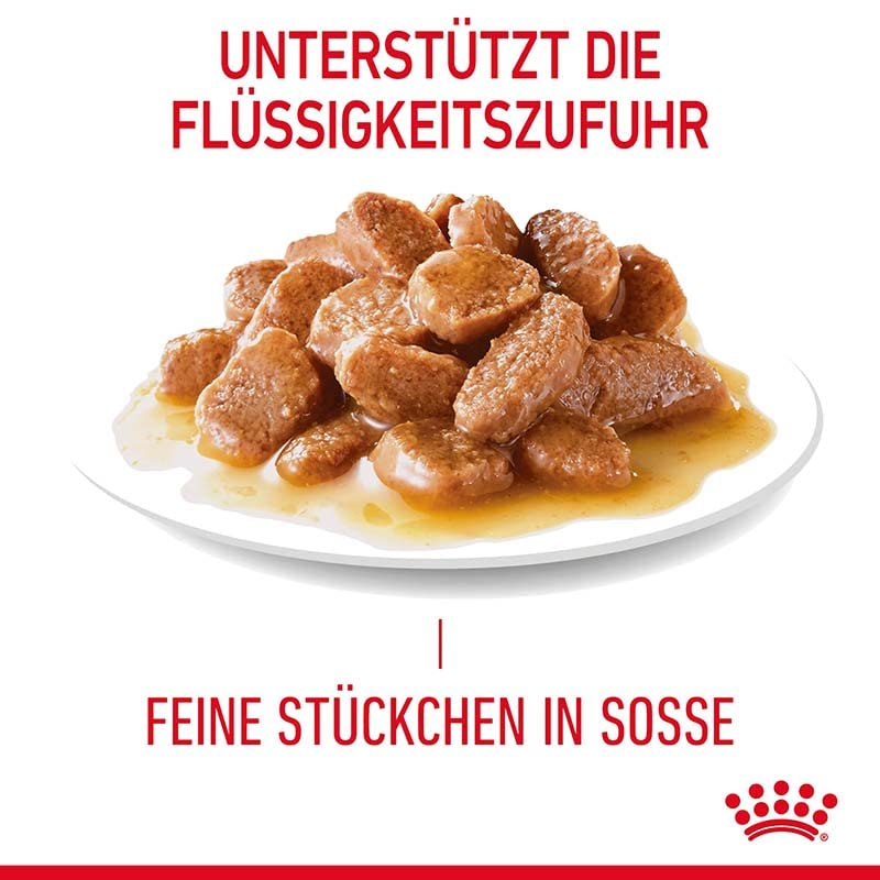 Royal Canin Hair & Skin Care Gravy | Doppelpack | 2 x 12 x 85g | Alleinfuttermittel für ausgewachsene Katzen | Feine Stückchen in Soße | Kann zu einem gesundes Fell beitragen