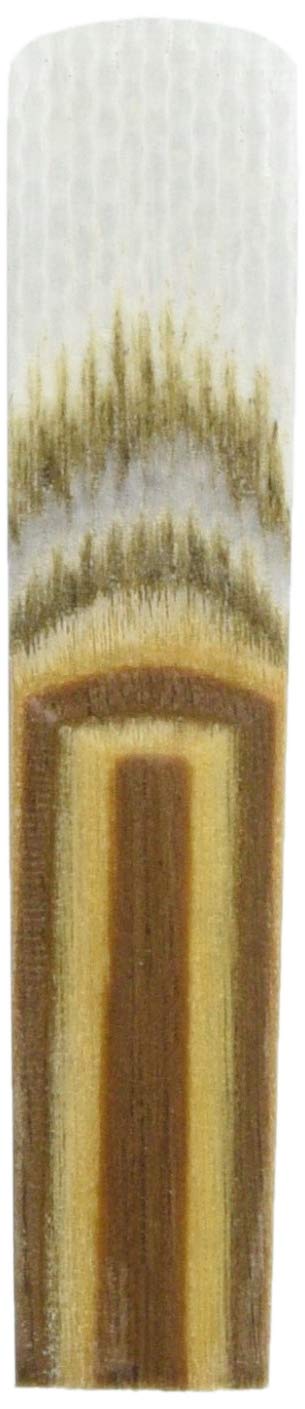 Ancia Per Saxofono Contralto In Fibra Di Canapa - Misura M, Suono Corposo - Foto 9