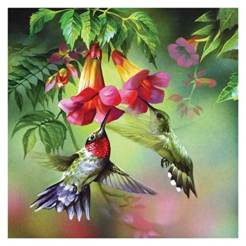5D Gegoten Lijm Bird Peacock Dragonfly Animal Diamond Painting Kits Volle Ronde Boor Home Decor Mozaïek Borduurwerk… - Afbeelding 6