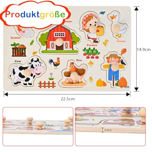 Wooderma Holzpuzzle 1 Jahr | Steckpuzzle Holz für Junge und Mädchen 12-36 Monate | Montessori Spielzeug Holzspielzeug Baby | Kinder Greifpuzzle Weihnacht Geburtstag Geschenk