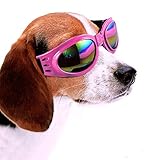 lesypet auftraege tomar normalmente 10 – 21 días a llegar (no como Amazon Sistema muestra 14 hasta 28 días laborables)