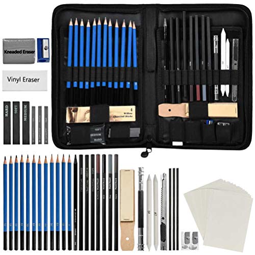 FOCCTS Juego de 41pcs Lapices Madera de Dibujos Artisticos Profesional con Caja de lapices es Mejor Regalo para Artistas,Estudiantes, Nios Arte para Bocetos