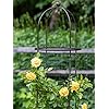 Gardeners supply company 7 foot tall garden obelisk sturdy steel jardin trellis support for climbing plants vines clematis flowers 15 12d x 84 h  urban country home decor