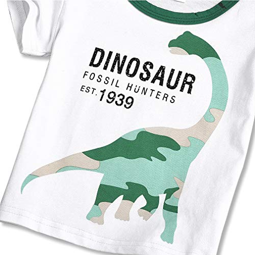 Image of Little Boys Shorts Set Toddler Boys 100% Cotton Summer Short Sleeve T-Shirts and Shorts Clothing Sets 2PCS