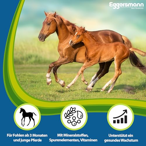 Eggersmann Mein Pferdefutter Osteomin Pellets 8 kg – Mineralfutter für Junge Pferde – Zur Unterstützung der Entwicklung wachsender Pferde – Pferdefutter mit ausgewogenem Calcium-Phosphor-Verhältnis