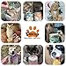 PAWUP Freeze Dried Cat & Dog Treats, Natural Quail Egg Yolk, High Fiber Pumpkin Added, High-Protein Pet Snacks for Coat & Gut Health, 3.5 oz