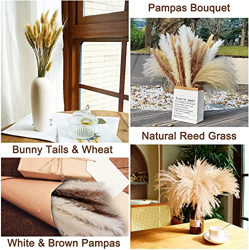 Pampas Grass Large 80 Pcs Dried Pampas Grass Decor Flores miniatura 5