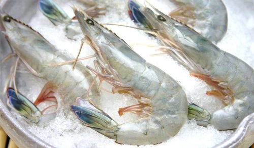 ぬかづけ太郎様専用】ほたて1㎏、天使の海老1㎏ ほたて 1kg」の人気