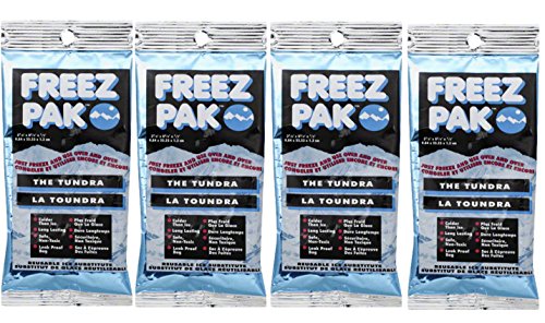 Lifoam Tundra Freeze Paks Reusable Ice Pack