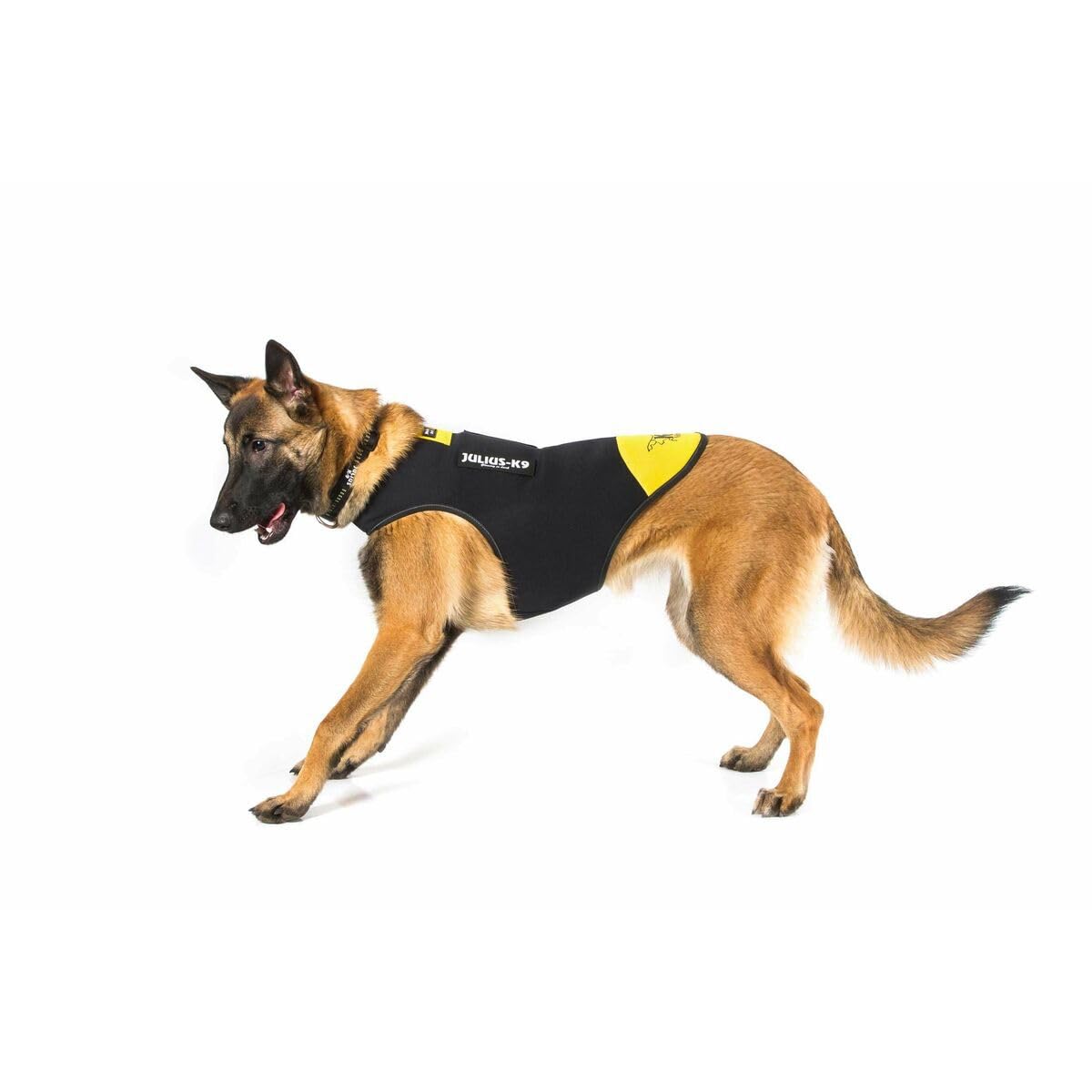 Julius-K9 IDC neoprenowa kurtka dla psa, rozmiar: XL, czarna i żółta