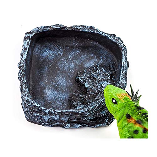 Buy ANTOLE Rock Food Water Dish Tray Reptile Natural For Amphibians