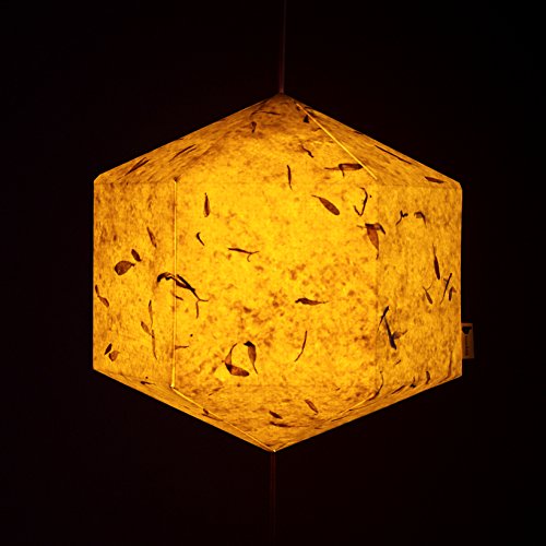 Brownfolds Paper Lantern; Handmade Paper with Red Flower Petals Pastel Yellow