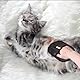 YANXINKE 2 Stück Doppelseitige Tierhaarentferner Handschuhe, Wiederverwendbare Fellpflegehandschuhe für Katzen und Hunde, Tierhaar Entfernungs Handschuhe für Fellpflege, for Clothes, Sofas