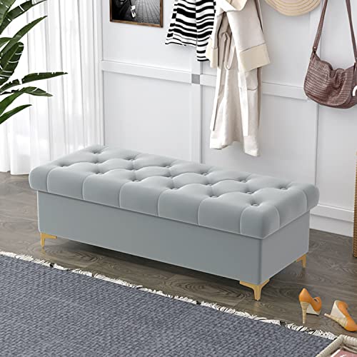 TMKDNNKG Banco de Almacenamiento, Banco de Almacenamiento con Asiento, baúl de Juguetes con Tapa abatible, Taburete de Cama con Almacenamiento, con Asiento Acolchado, para Dormitorio, Entrada