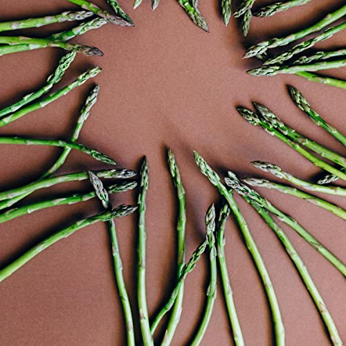 Sleep Zone Cosy Sound for Babies Sleep Zone Cosy Sound for Babies