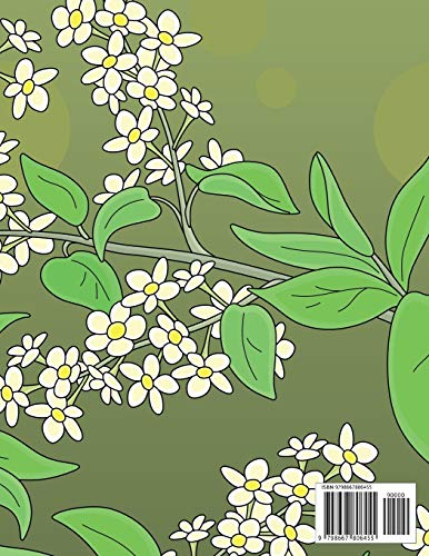 Livro para Colorir de Belas Aves para Crianças: 1