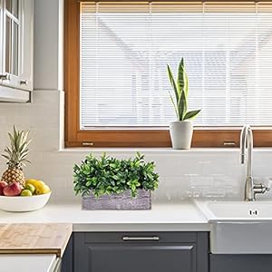 Artificialeucalyptusplantinrusticrectangularwoodenplanterboxfauxpottedherbplantgreeneryarrangementforfarmhouseindoorweddingtablecenterpiecemantelshelfkitchendecor Urban Country Home Decor Artificial eucalyptus plant in rustic rectangular wooden planter box faux potted herb plant greenery arrangement for farmhouse indoor wedding table centerpiece mantel shelf kitchen decor urban country home decor