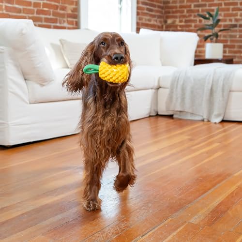 Outward Hound Planet Dog Dental Ananas Dental Chew Toy and Interactive Treat Stuffer Durable Dog Toy Stuffable Dog Toy, Yellow