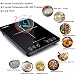 Placa Inducción Portatil Amzchef, placa de inducción de 2000 W con cuerpo...