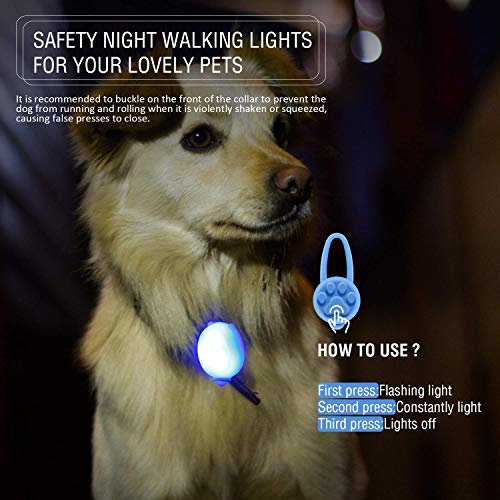 iPobie 5 Stück Leuchtende Hundeanhänger, Sicherheitshalsband aus Silikon, LED-Anhänger, Blinklicht, für Läufer, Nachtwanderungen