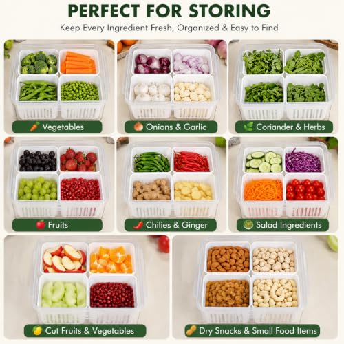 Image of VYOOx Fridge Storage Box with Lid & 4 Compartments | Refrigerator Organizer Basket for Fruits, Vegetables, Onion, Garlic & Herbs | Plastic Food Storage Container for Kitchen & Fridge