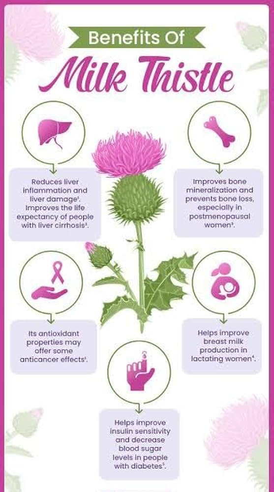 milk thistle benefits