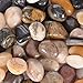 OUPENG Aquarium Gravel River Rock - Natural Polished Decorative Gravel, Small Decorative Pebbles, Mixed Color Stones,for Aquariums, Landscaping, Vase Fillers 2 Pounds (32-Oz)